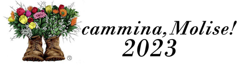XXIX Edizione 2023