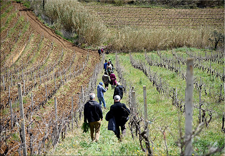 Scuola pratica di agroecologia