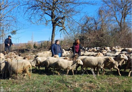 Il Molise di Linea Verde