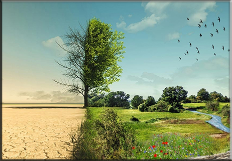Sull’Agricoltura