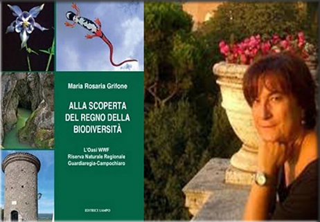 Chi vuole far scomparire il Molise
