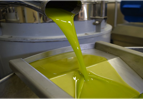Corso per “Olio evo Molisano”