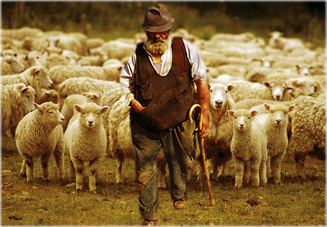 L’incontro del pastore