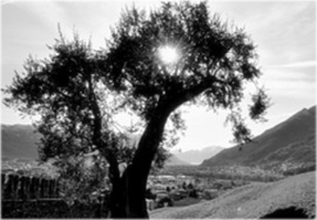 E Dio creò la luce