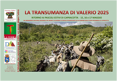 La Transumanza di Valerio 2025