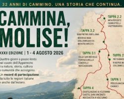 OsservatoreSannita_08_08bis
