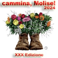 cammina, molise!_24_bis