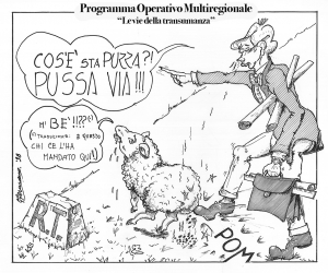 Programma Operativo Multiregionale