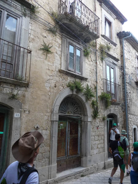 P1030084