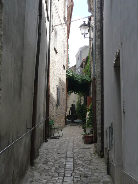 P1030088