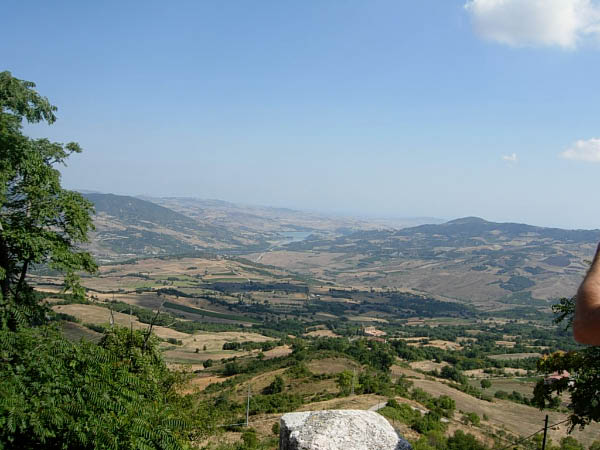 DSCN8956