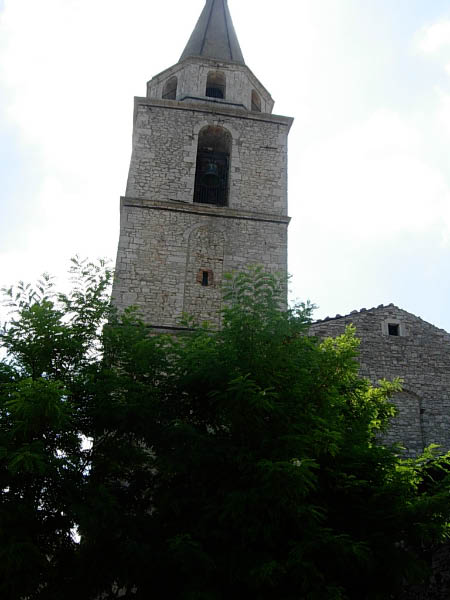 DSCN8983