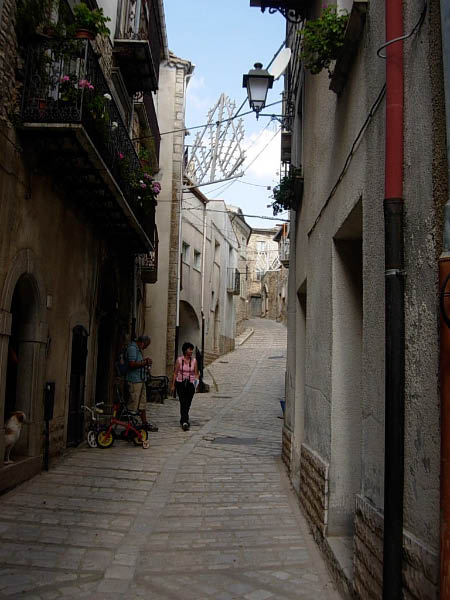 DSCN9003