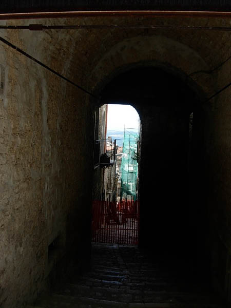 DSCN9009