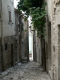 Cam.Molise 2010 (46)
