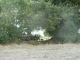 DSCN9026