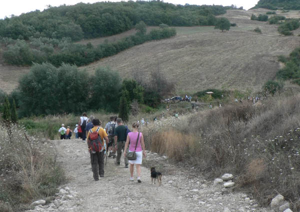 Cam.Molise 2010 (100)