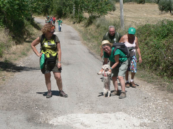Cam.Molise 2010 (113)