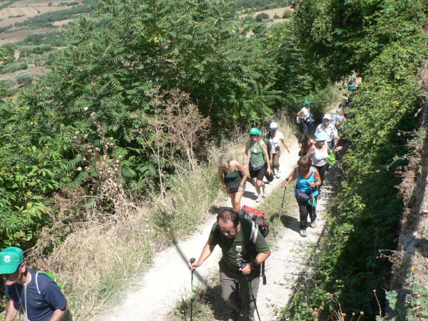 Cam.Molise 2010 (118)