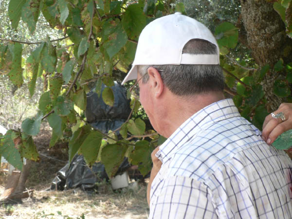 Cam.Molise 2010 (93)