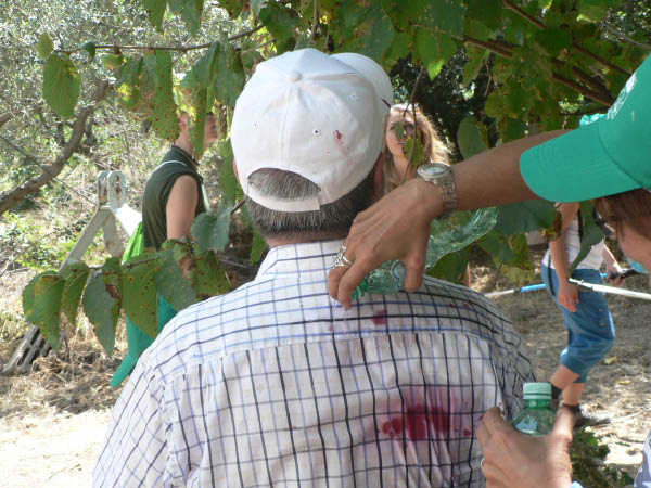 Cam.Molise 2010 (94)