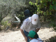 Cam.Molise 2010 (97)
