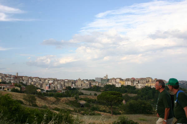 IMG_7671