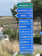 Cam.Molise 2010 (220)
