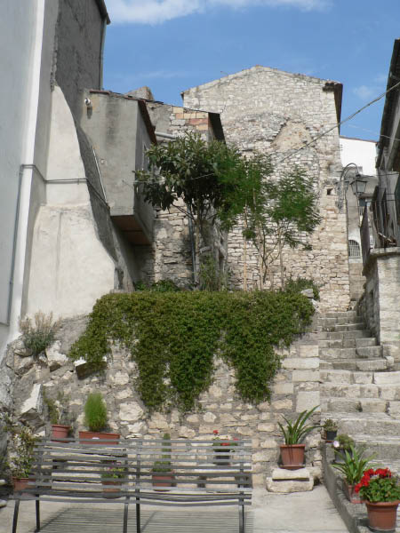 Cam.Molise 2010 (174)