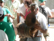 Cam.Molise 2010 (131)