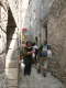 Cam.Molise 2010 (163)
