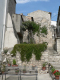 Cam.Molise 2010 (174)