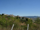 DSCN9363