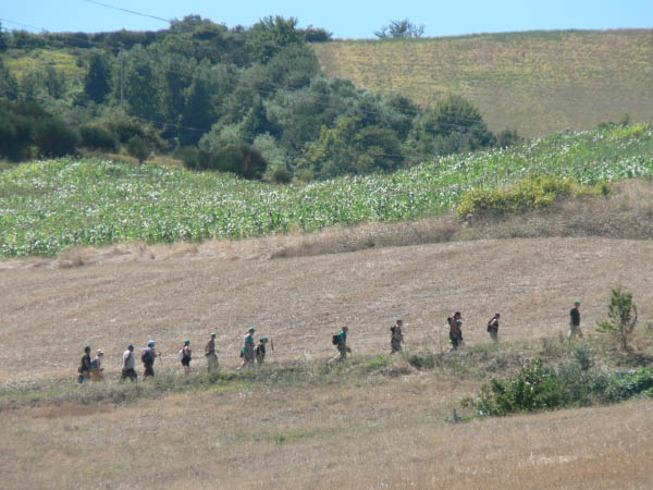 Cam.Molise 2010 (557)