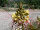 Cam.Molise 2010 (558)