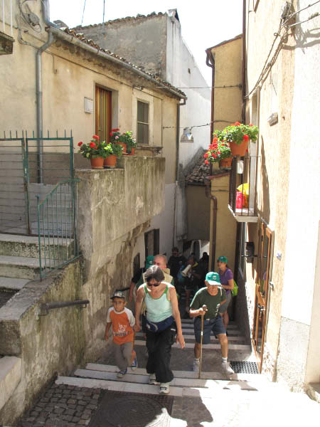 IMG_6868