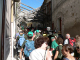 Cam.Molise 2010 (512)