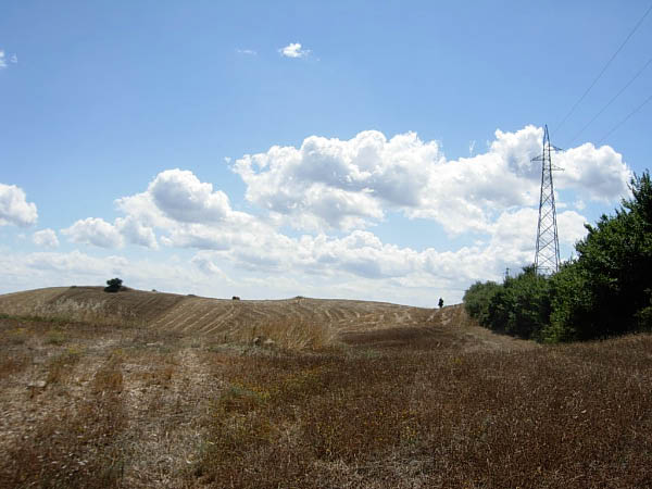 DSCN9073