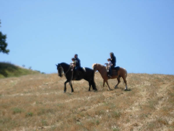 DSCN9081