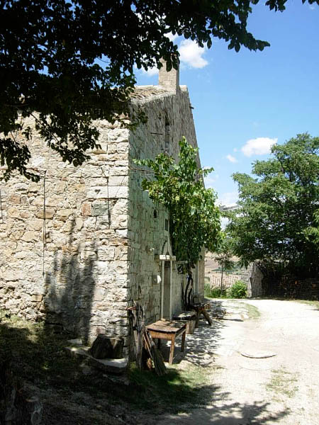 DSCN9095