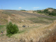 DSCN9074