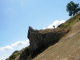 DSCN9079