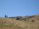 DSCN9083