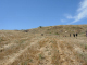 DSCN9086