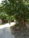 DSCN9102