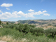 DSCN9105