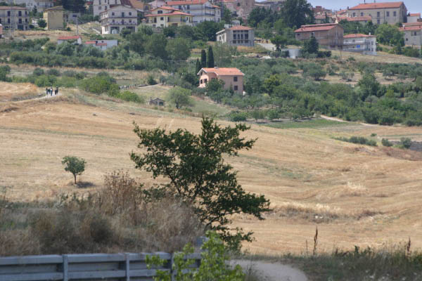 IMG_7875
