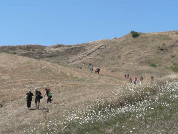 Cam.Molise 2010 (306)