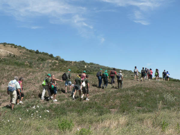 Cam.Molise 2010 (307)