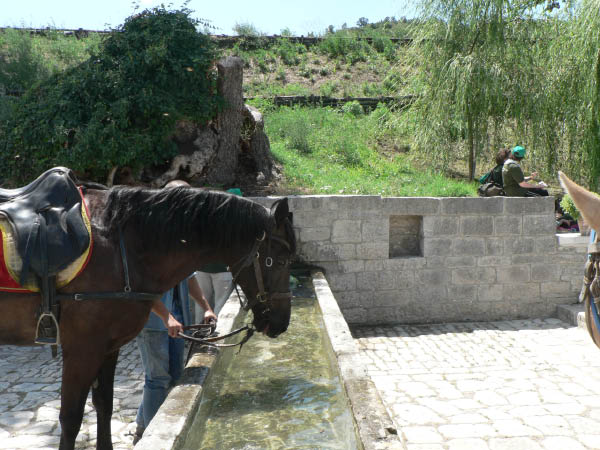 Cam.Molise 2010 (326)